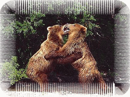 �E�F�u �A�j���[�^�[