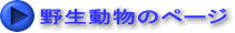 野生動物のページ