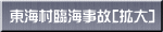 東海村臨海事故[拡大]