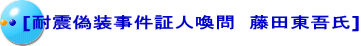[耐震偽装事件証人喚問　藤田東吾氏]