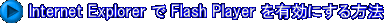 Internet Explorer で Flash Player を有効にする方法