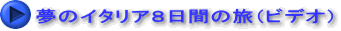 夢のイタリア８日間の旅（ビデオ）