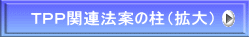 ＴＰＰ関連法案の柱（拡大） 