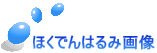 ほくでんはるみ画像