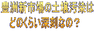 豊洲新市場の土壌汚染は どのくらい深刻なの？ 