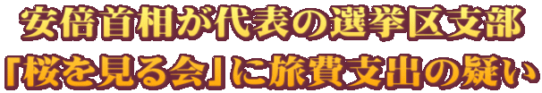 安倍首相が代表の選挙区支部 「桜を見る会」に旅費支出の疑い