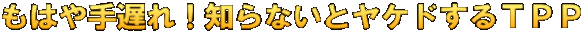 もはや手遅れ！知らないとヤケドするＴＰＰ