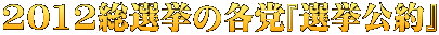 2012総選挙の各党『選挙公約』