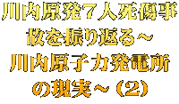 川内原発7人死傷事 故を振り返る～ 川内原子力発電所 の現実～（２）