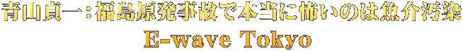 青山貞一：福島原発事故で本当に怖いのは魚介汚染 E-wave Tokyo 