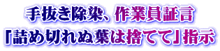 手抜き除染、作業員証言 「詰め切れぬ葉は捨てて」指示