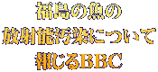 福島の魚の 放射能汚染について 報じるBBC