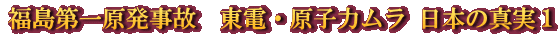 福島第一原発事故　東電・原子力ムラ 日本の真実１