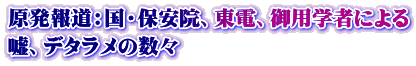 原発報道：国・保安院、東電、御用学者による 嘘、デタラメの数々