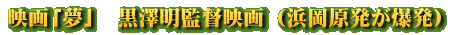 映画「夢」　黒澤明監督映画 （浜岡原発が爆発）