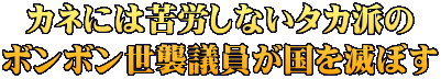 カネには苦労しないタカ派の ボンボン世襲議員が国を滅ぼす