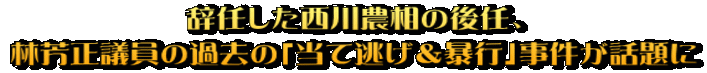 辞任した西川農相の後任、 林芳正議員の過去の「当て逃げ＆暴行」事件が話題に