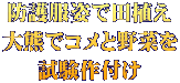 防護服姿で田植え 大熊でコメと野菜を 試験作付け