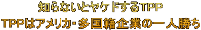 知らないとヤケドするTPP TPPはアメリカ・多国籍企業の一人勝ち