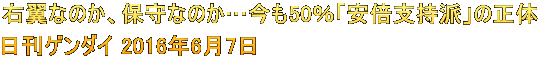 右翼なのか、保守なのか…今も50％「安倍支持派」の正体 日刊ゲンダイ 2016年6月7日