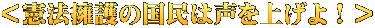 ＜憲法擁護の国民は声を上げよ！＞