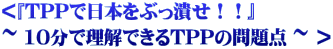 ＜『TPPで日本をぶっ潰せ！！』  ~ 10分で理解できるTPPの問題点 ~ ＞