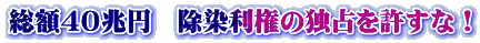 総額４０兆円　除染利権の独占を許すな！