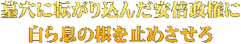 墓穴に転がり込んだ安倍政権に 自ら息の根を止めさせろ
