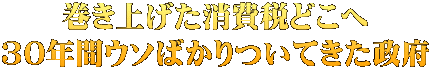 巻き上げた消費税どこへ 30年間ウソばかりついてきた政府