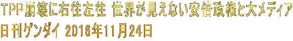 TPP����ɉE������ ���E�������Ȃ����{�����Ƒ僁�f�B�A �����Q���_�C 2016�N11��24��