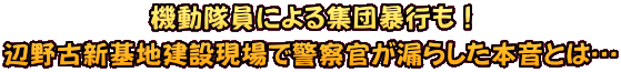 機動隊員による集団暴行も！ 辺野古新基地建設現場で警察官が漏らした本音とは…