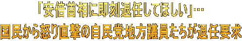 「安倍首相に即刻退任してほしい」… 国民から怒り直撃の自民党地方議員たちが退任要求