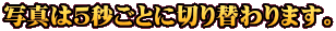 写真は５秒ごとに切り替わります。