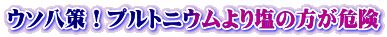 ウソ八策！プルトニウムより塩の方が危険