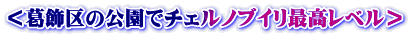 ＜葛飾区の公園でチェルノブイリ最高レベル＞