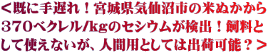 ＜既に手遅れ！宮城県気仙沼市の米ぬかから 370ベクレル/kgのセシウムが検出！飼料と して使えないが、人間用としては出荷可能？＞