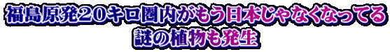 福島原発20キロ圏内がもう日本じゃなくなってる 謎の植物も発生