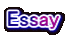 Essay