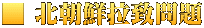■ 北朝鮮拉致問題