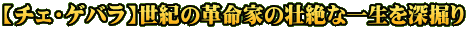【チェ・ゲバラ】世紀の革命家の壮絶な一生を深掘り
